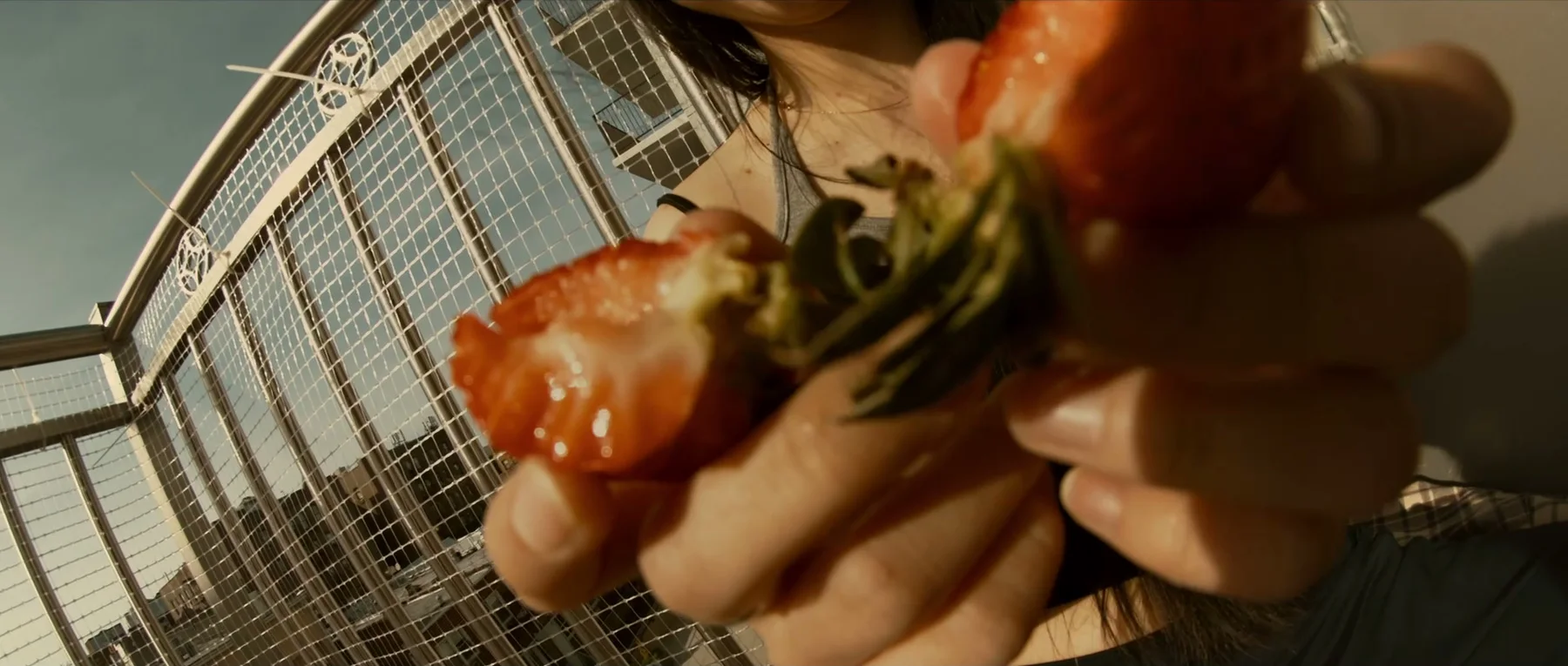 6PM — strawberries held close to the lens on a sunlit balcony