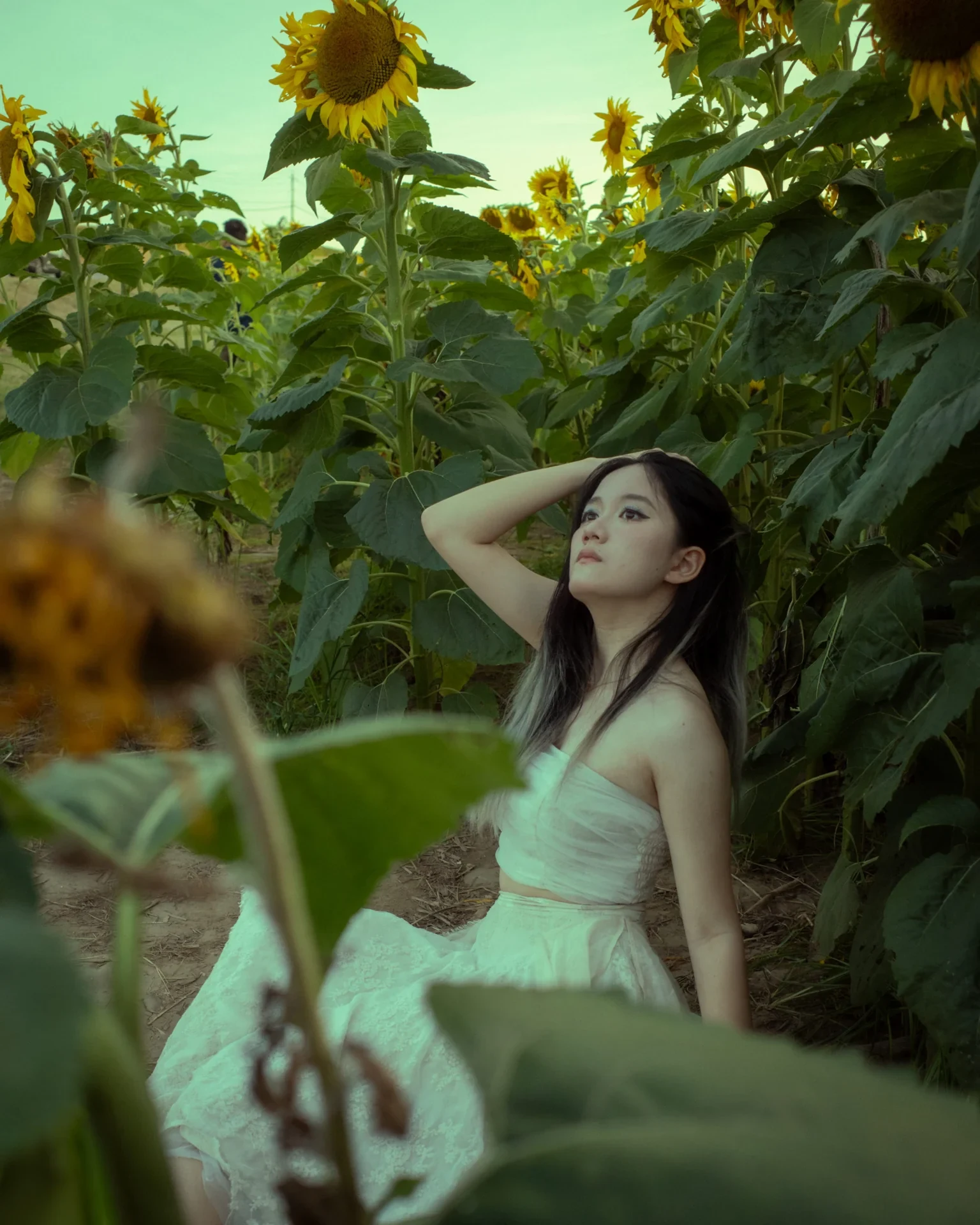 A person among sunflowers with a mirror in the foreground