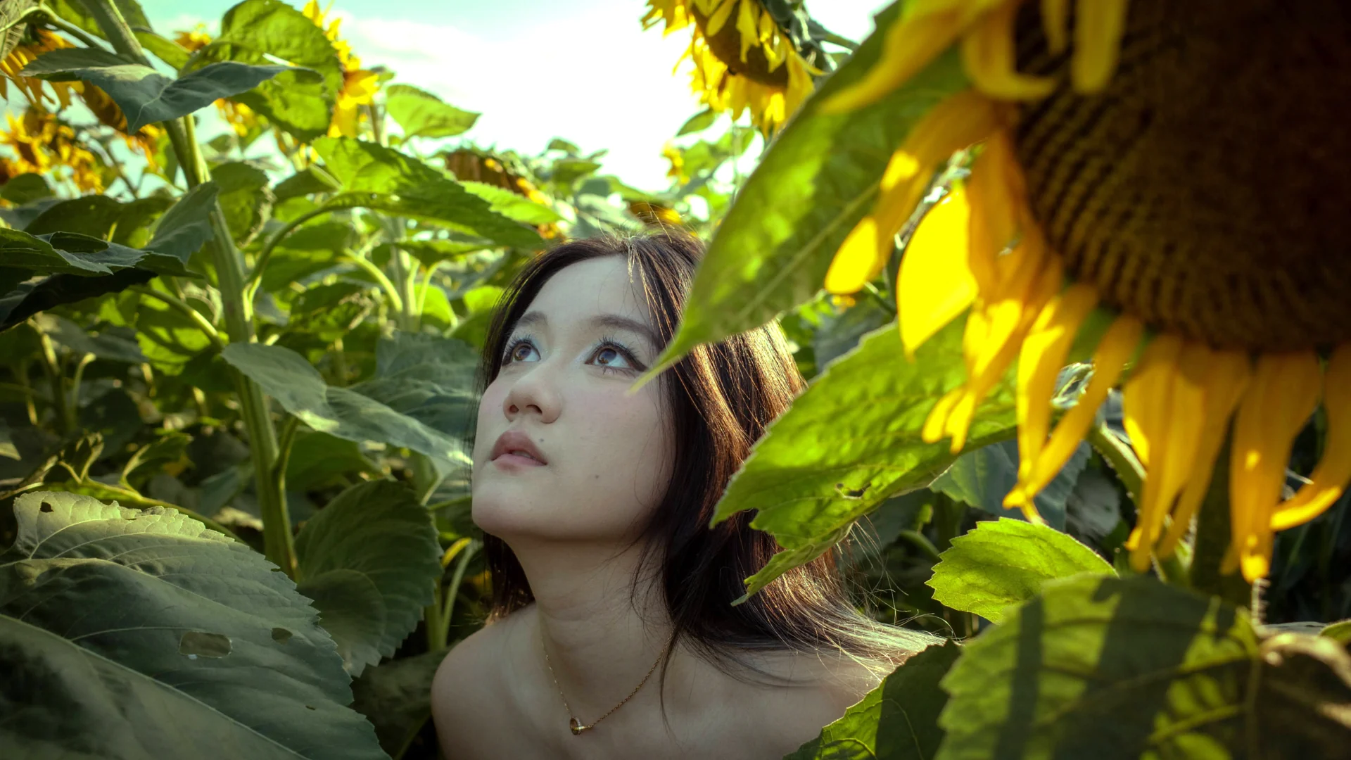 Portrait framed by sunflowers and green foliage