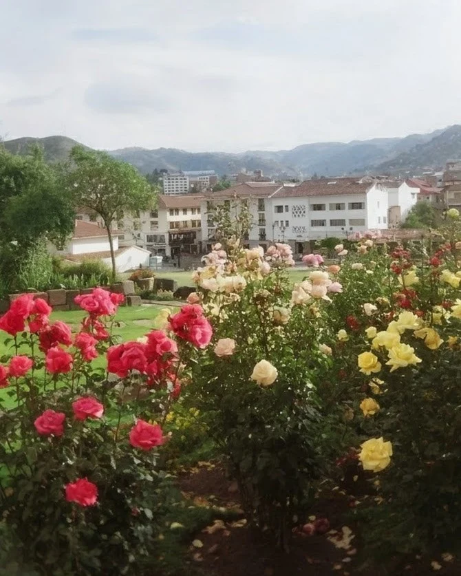 An original film photograph of red, pink and yellow flowers in front of small buildings in Peru
